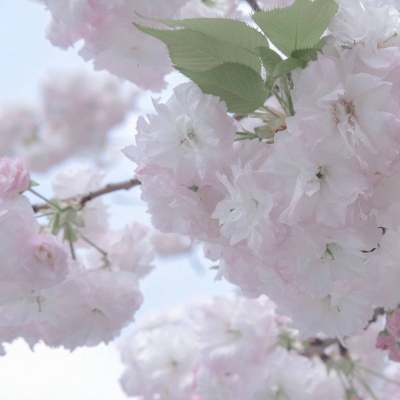 Furry插画细节设计兽圈群